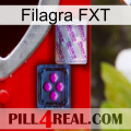 Filagra FXT 37